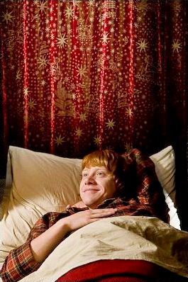 Rupert Grint stars as Ron Weasley in Warner Bros Pictures' Harry Potter and the Half-Blood Prince (2009)