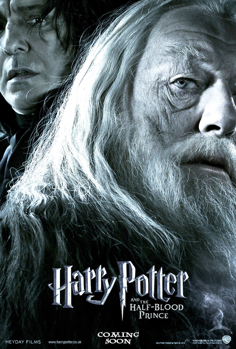 http://www.aceshowbiz.com/images/still/harry_potter_hbp_poster21.jpg