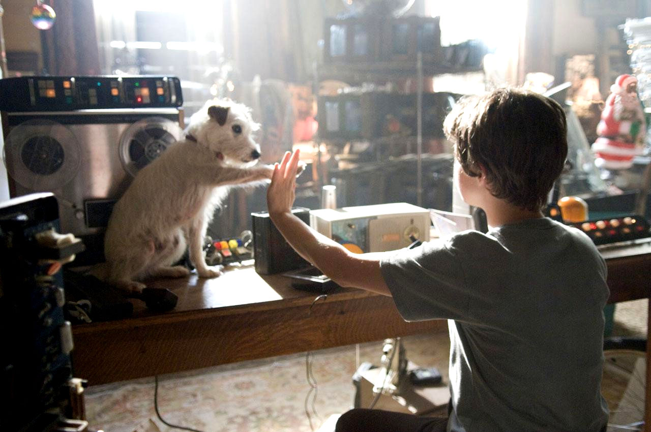 Jake T. Austin stars as Bruce in DreamWorks' Hotel for Dogs (2009)