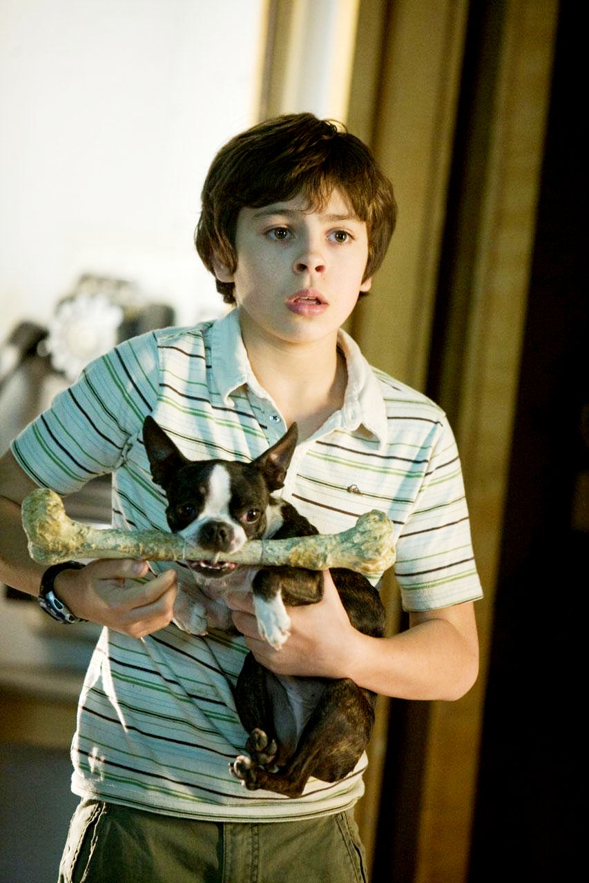 Jake T. Austin stars as Bruce in DreamWorks' Hotel for Dogs (2009)