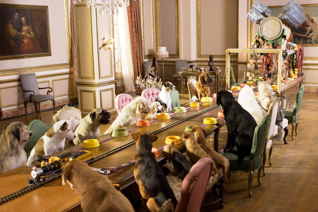 Hotel for Dogs Picture 30