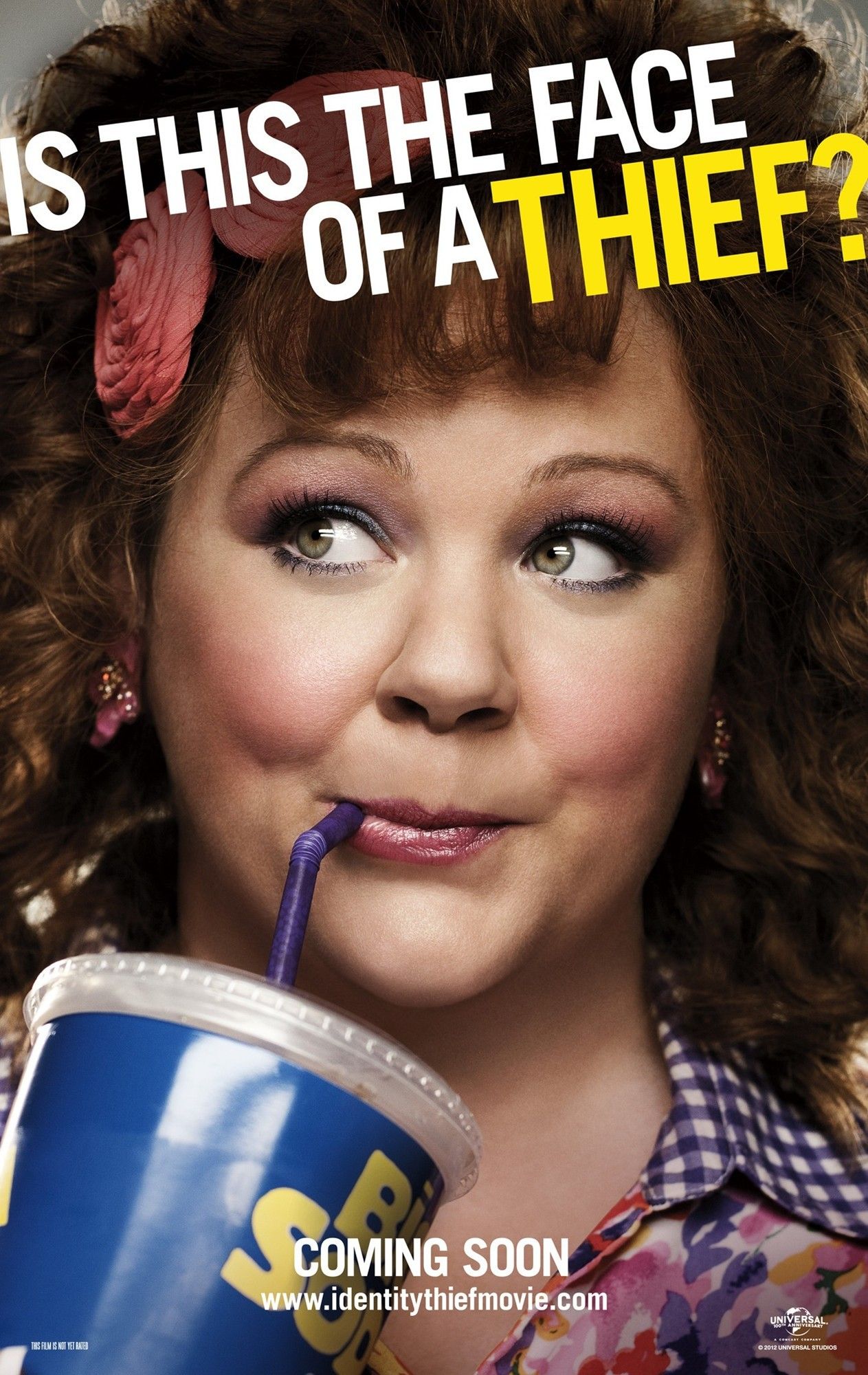 Poster of Universal Pictures' Identity Thief (2013)