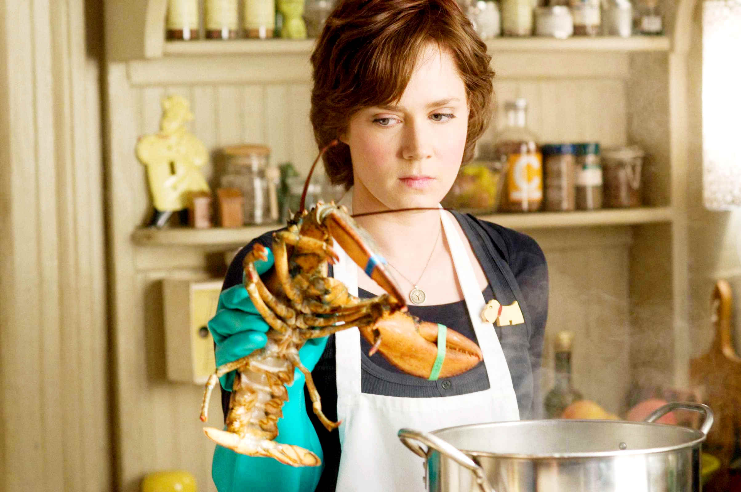 Amy Adams stars as Julie Powell in Columbia Pictures' Julie & Julia (2009)