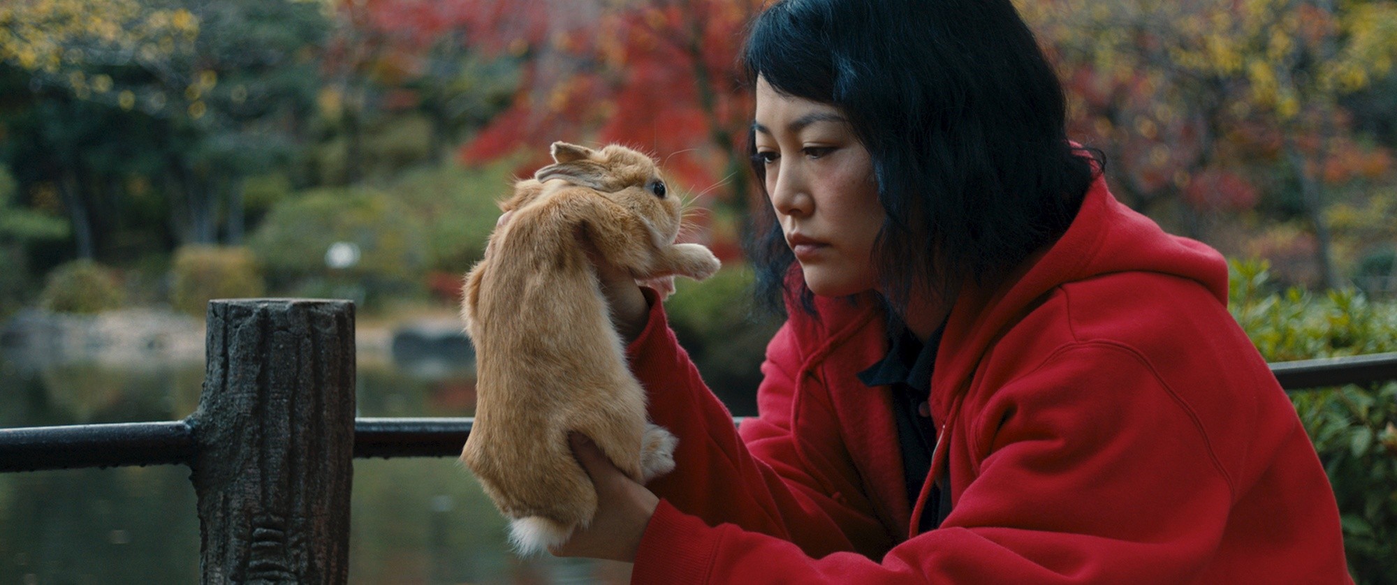Rinko Kikuchi stars as Kumiko in Amplify's Kumiko, the Treasure Hunter (2015)