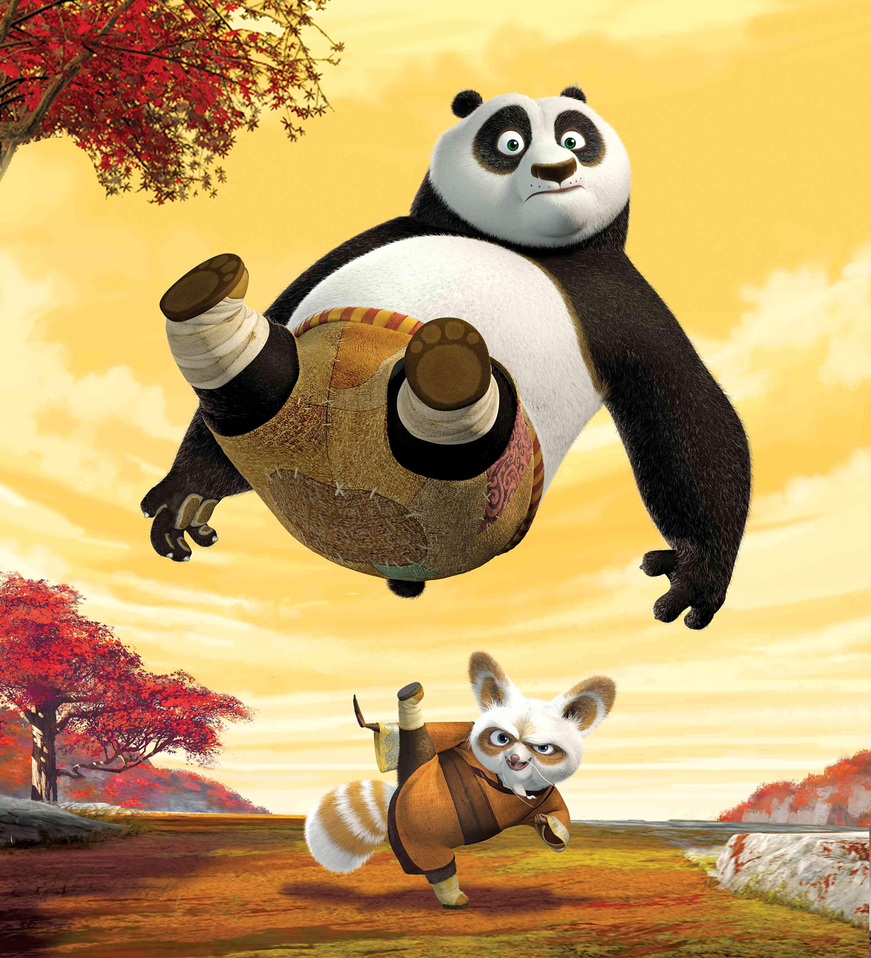 Kung Fu Panda Picture 3