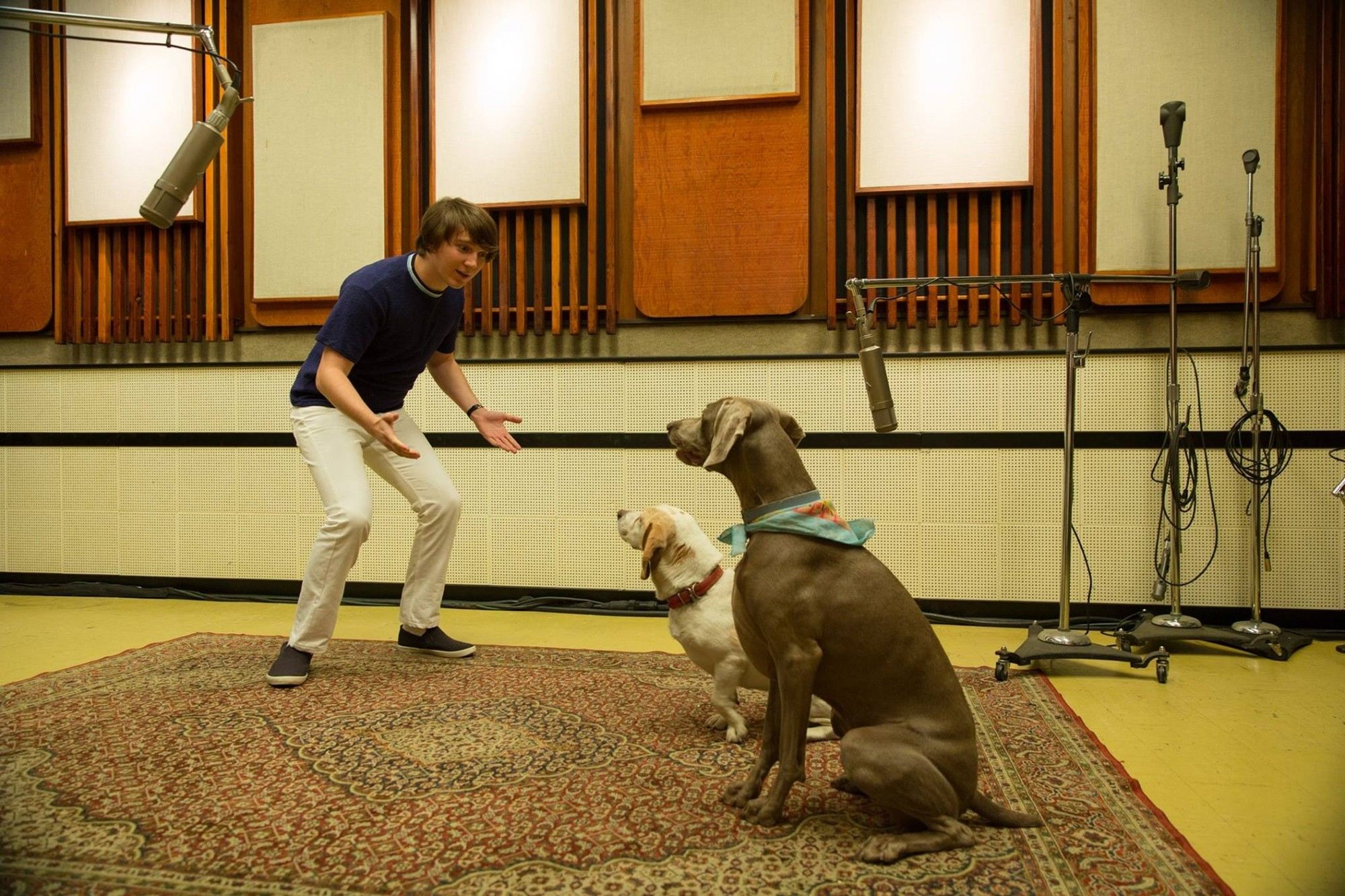 Paul Dano stars as Brian Wilson in Roadside Attractions' Love & Mercy (2015)