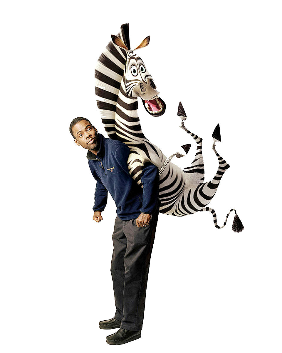 Chris Rock voices Marty the zebra in DreamWorks Pictures' Madagascar: Escape 2 Africa (2008)