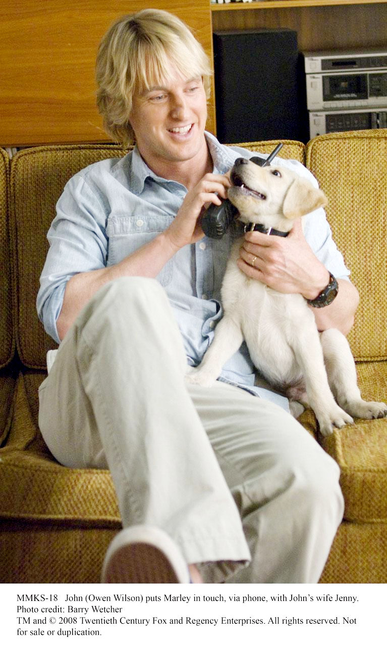 Owen Wilson stars as John Grogan in Fox 2000 Pictures' Marley & Me (2008). Photo credit by Barry Wetcher.