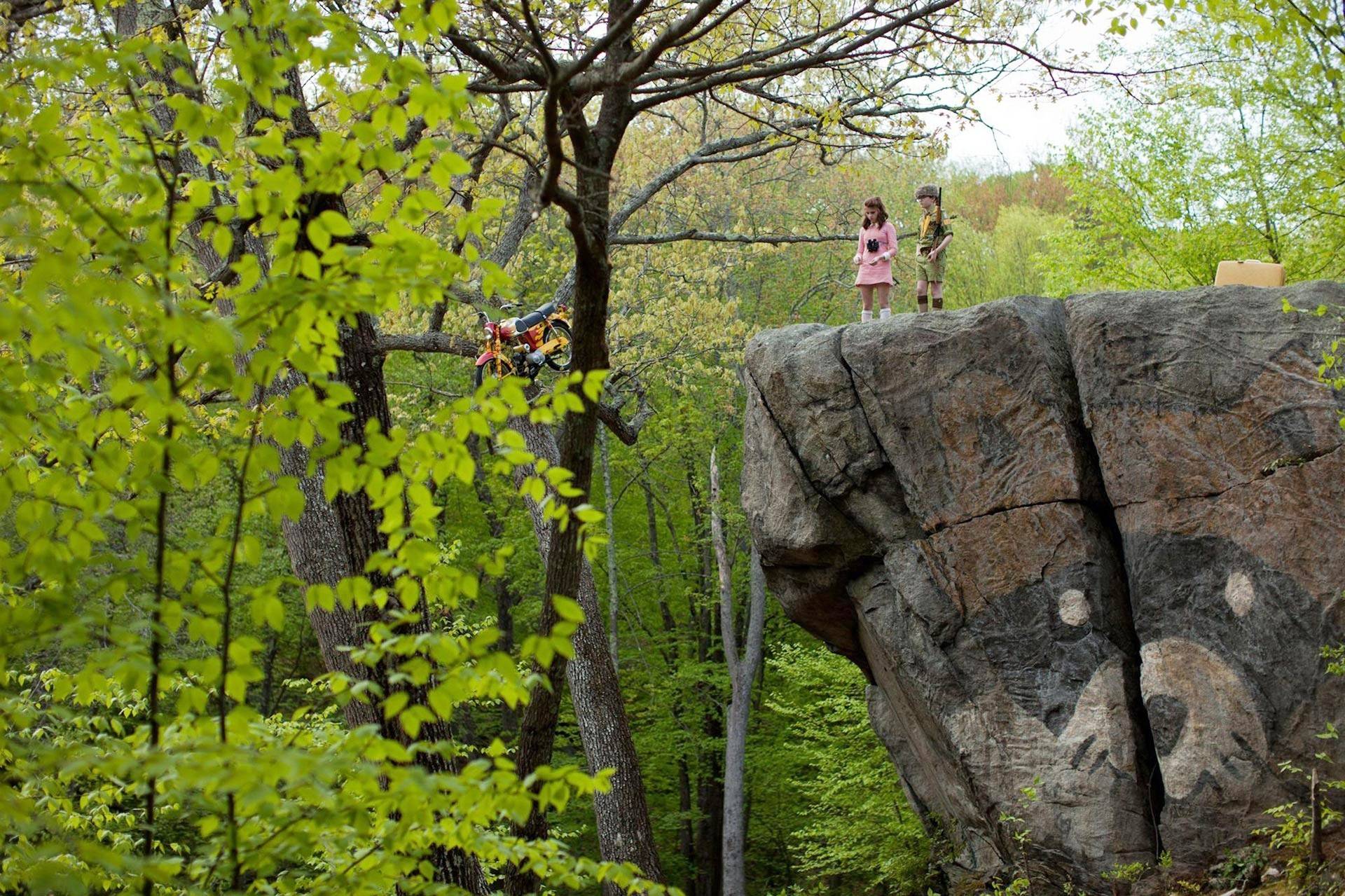 Moonrise kingdom