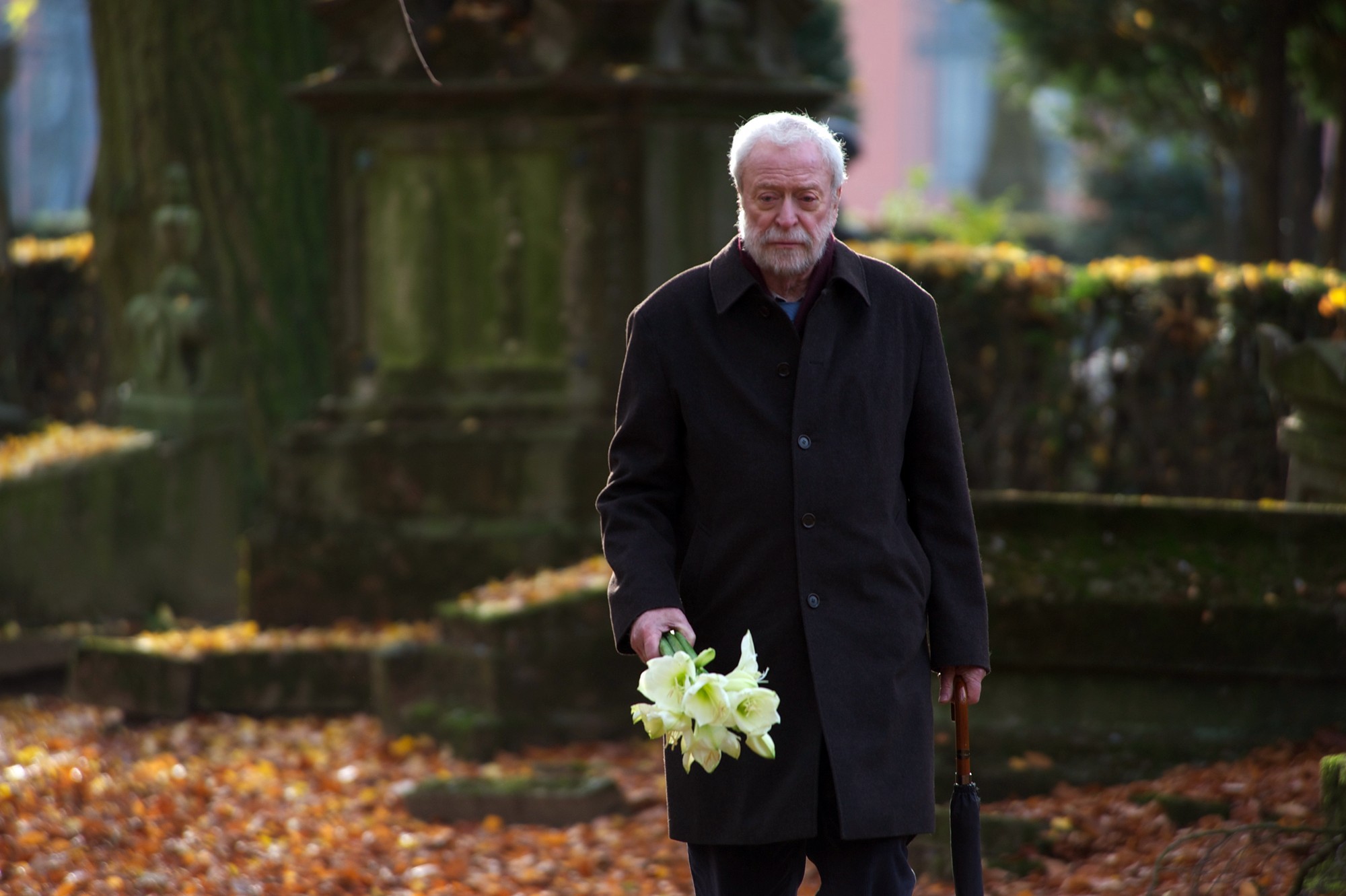 Watch Mr Morgans Last Love 2013 Free Online
