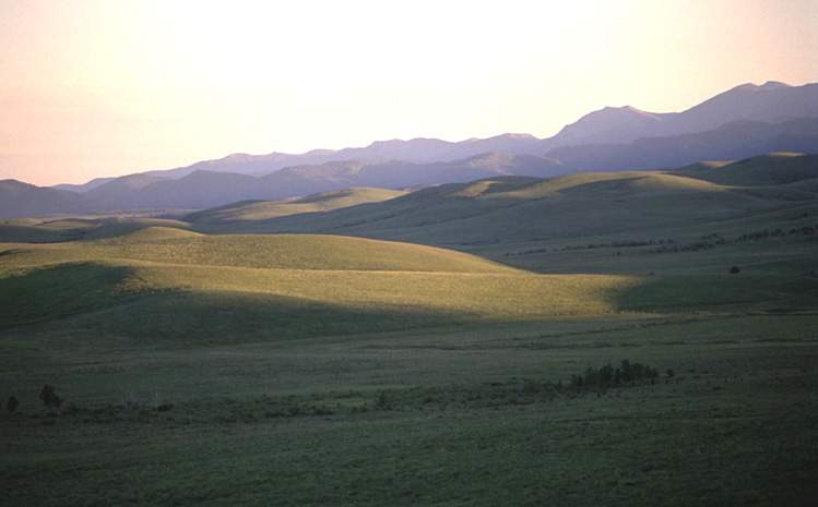 Open Range