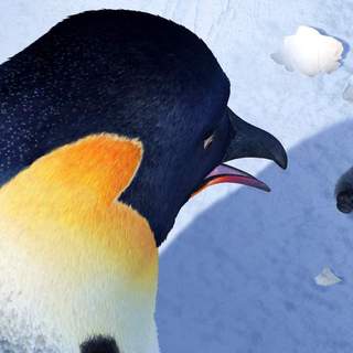 Happy Feet Picture 14