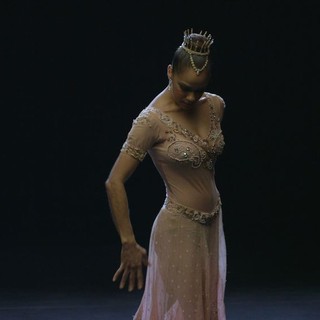 A Ballerina's Tale Picture 8