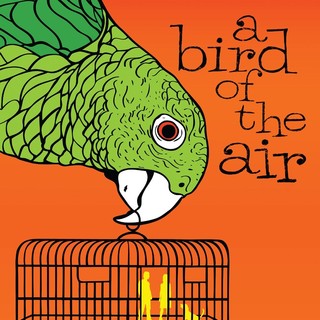 Poster of Paladin's A Bird of the Air (2011)