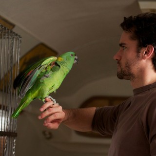 Jackson Hurst stars as Lyman in Paladin's A Bird of the Air (2011)