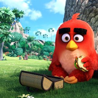 Red from Columbia Pictures' Angry Birds (2016)