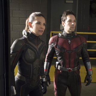 Ant-Man and the Wasp Picture 9