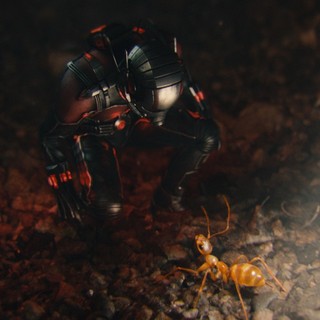 Ant-Man Picture 29
