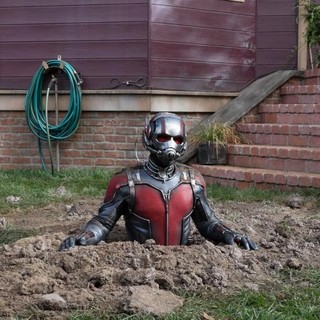 Ant-Man Picture 39