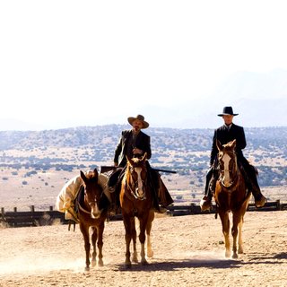 Appaloosa photo