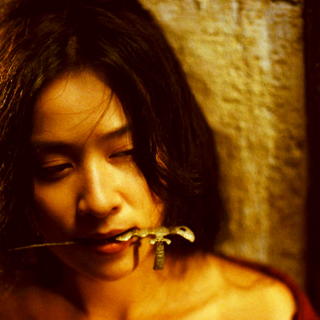 Carina Lau stars as Peach Blossom in Sony Pictures Classics' Ashes of Time Redux (2008)