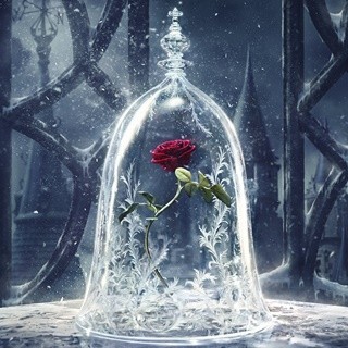Beauty and the Beast Picture 1