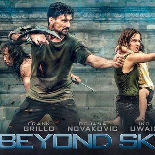 Beyond Skyline Picture 7