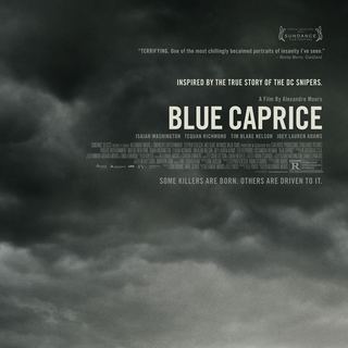 Blue Caprice Picture 1