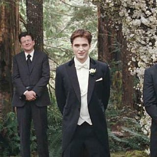 The Twilight Saga's Breaking Dawn Part I Picture 26