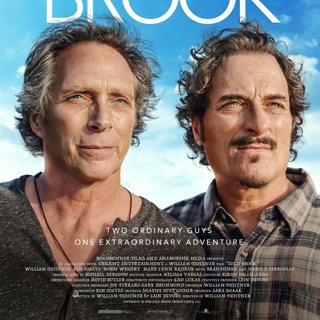 Poster of Vertical Entertainment's Cold Brook (2019)