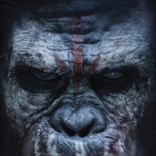 Dawn of the Planet of the Apes Picture 4