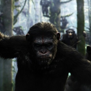 Caesar from 20th Century Fox' Dawn of the Planet of the Apes (2014)