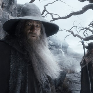 Ian McKellen stars as Gandalf and Sylvester McCoy stars as Radagast in Warner Bros. Pictures' The Hobbit: The Desolation of Smaug (2013)
