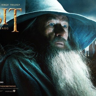 The Hobbit: The Desolation of Smaug Picture 17