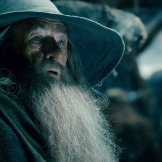 The Hobbit: The Desolation of Smaug Picture 9
