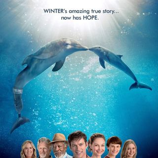 Dolphin Tale 2 Picture 6