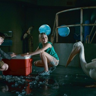 Dolphin Tale Picture 36