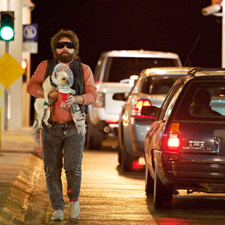 Zach Galifianakis stars as Ethan Tremblay in Warner Bros. Pictures' Due Date (2010)
