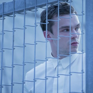 Equals Picture 3