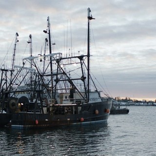 Fairhaven Picture 8