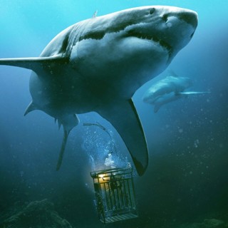 47 Meters Down Picture 3