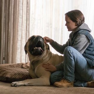 Freeheld Picture 13