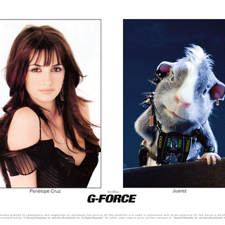 G-Force Picture 43