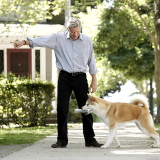 Richard Gere stars as Parker Wilson in Consolidated Pictures Group's Hachiko: A Dog's Story (2009)