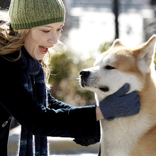 Hachiko: A Dog's Story Picture 9