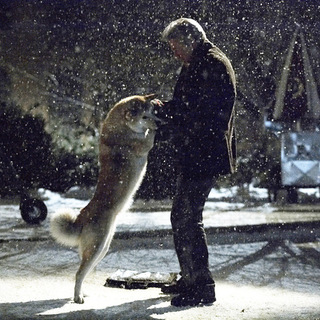 hachiko a s story hachiko a s story picture 6 hachiko a s story hachiko a s story picture 6