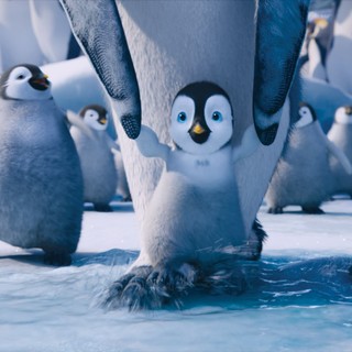 Happy Feet Two Picture 6
