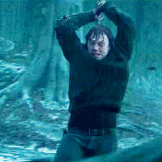 Harry Potter and the Deathly Hallows: Part I Picture 7