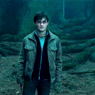 Harry Potter and the Deathly Hallows: Part I Picture 15