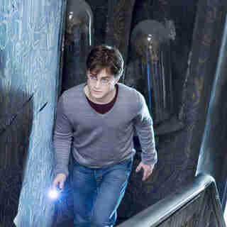 Harry Potter and the Deathly Hallows: Part I Picture 49